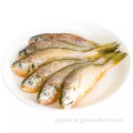 Wild Yellow Croaker Frozen Fish Small Yellow Croaker Pseudosciaena Crocea Supplier